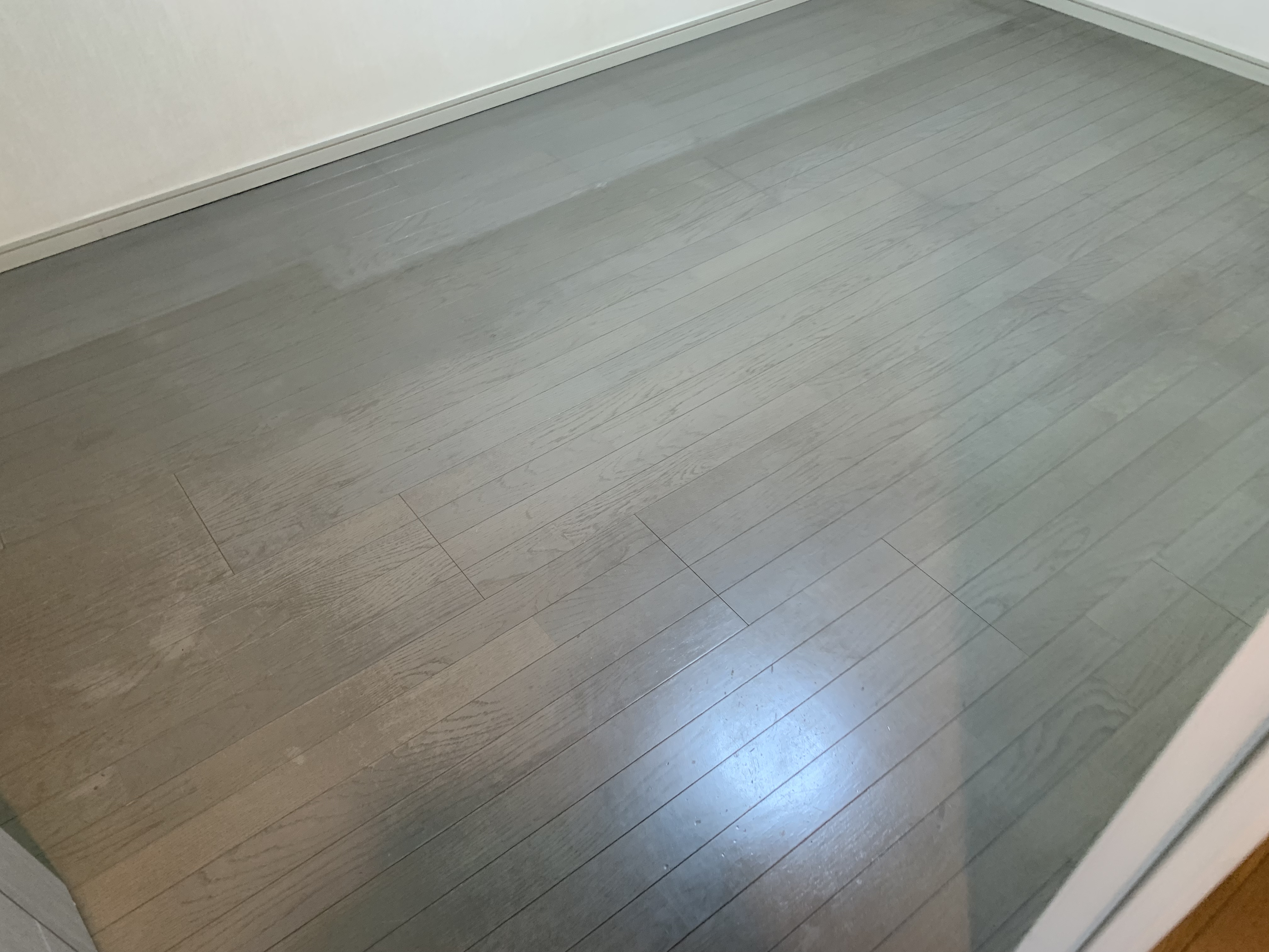フロアコーティング【優床】でペットが滑りにくい床へ
